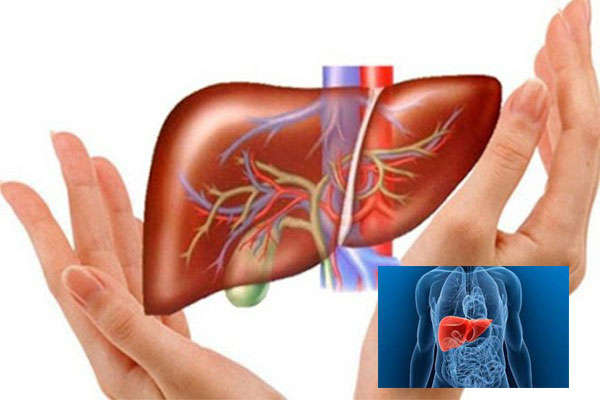 Vì sao phải giải độc gan?