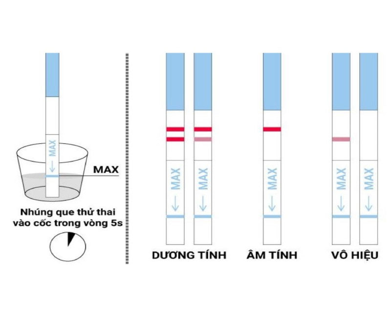 Cách đọc vạch kết quả que thử thai chính xác nhất