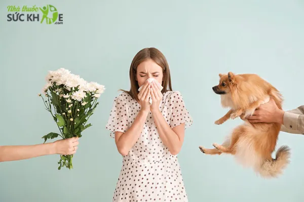 Vi&ecirc;m mũi dị ứng quanh năm khi tiếp x&uacute;c với c&aacute;c t&aacute;c nh&acirc;n g&acirc;y bệnh