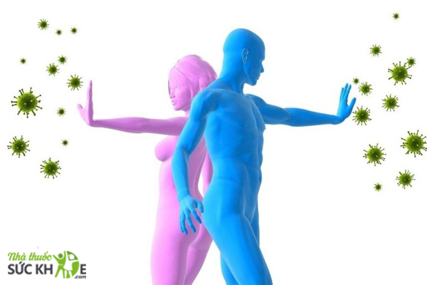 N&acirc;ng cao sức đề kh&aacute;ng, ph&ograve;ng ngừa bệnh tật
