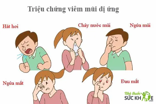 C&aacute;c triệu chứng của bệnh vi&ecirc;m mũi dị ứng l&agrave; g&igrave;?