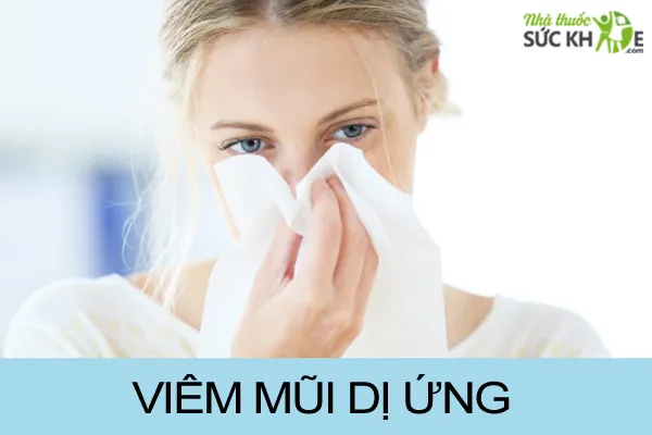 Vi&ecirc;m mũi dị ứng l&agrave; bệnh đường h&ocirc; hấp phổ biến mỗi khi giao m&ugrave;a