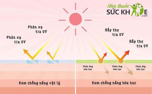 Phân biệt kem chống nắng vật lý và kem chống nắng hóa học