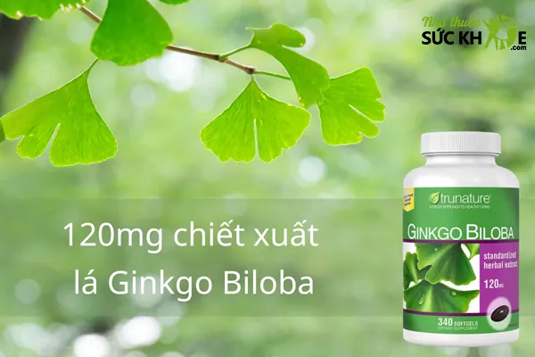 Thuốc bổ n&atilde;o cho học sinh cấp 2 Trunature Ginkgo Biloba