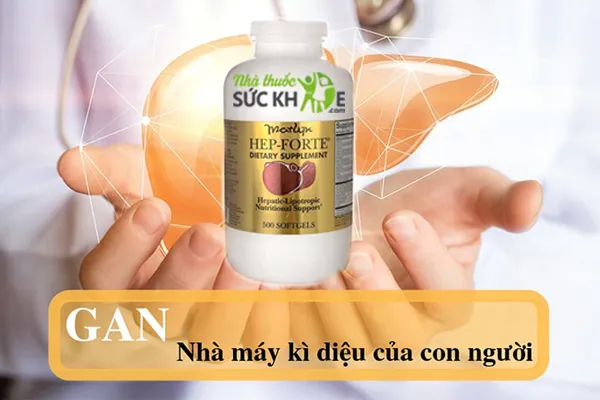 Viên uống bổ gan Hep-Forte