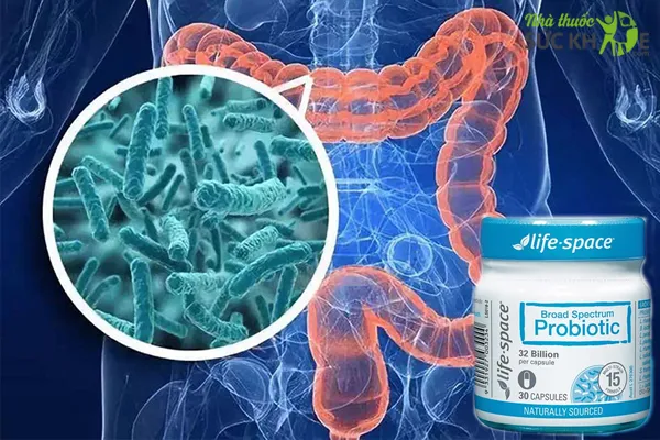 Men vi sinh Úc Life Space Probiotic cho người lớn