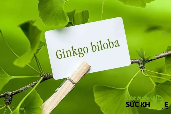 Tùy thuộc vào nhu cầu và đối tượng sử dụng để lựa chon sản phẩm thích hợp