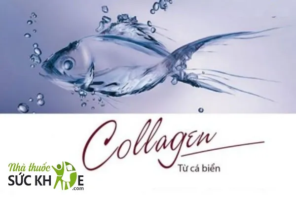 Sử dụng Collagen có nguồn gốc từ thiên nhiên,đặc biệt là cá