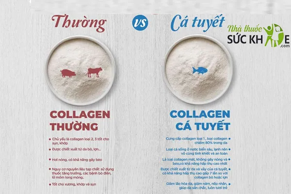 Collagen từ cá tuyết không gây nóng và tăng cân