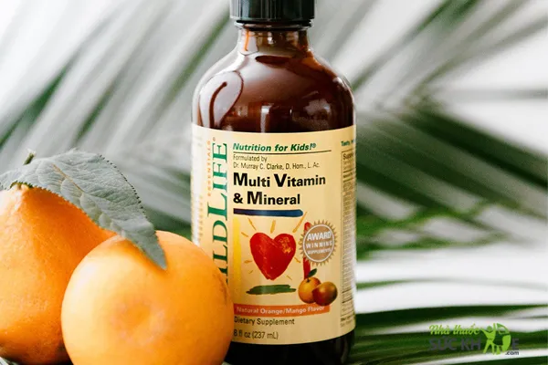 Vitamin tổng hợp cho bé biếng ăn của Mỹ Multivitamin & Mineral Childlife