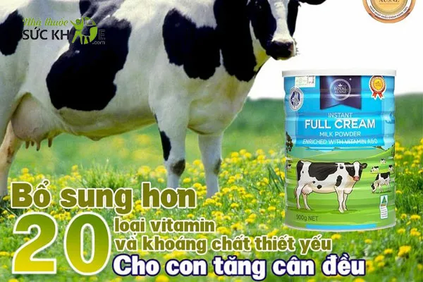 Sữa bột cho bé 2 tuổi Royal Ausnz Instant Full Cream